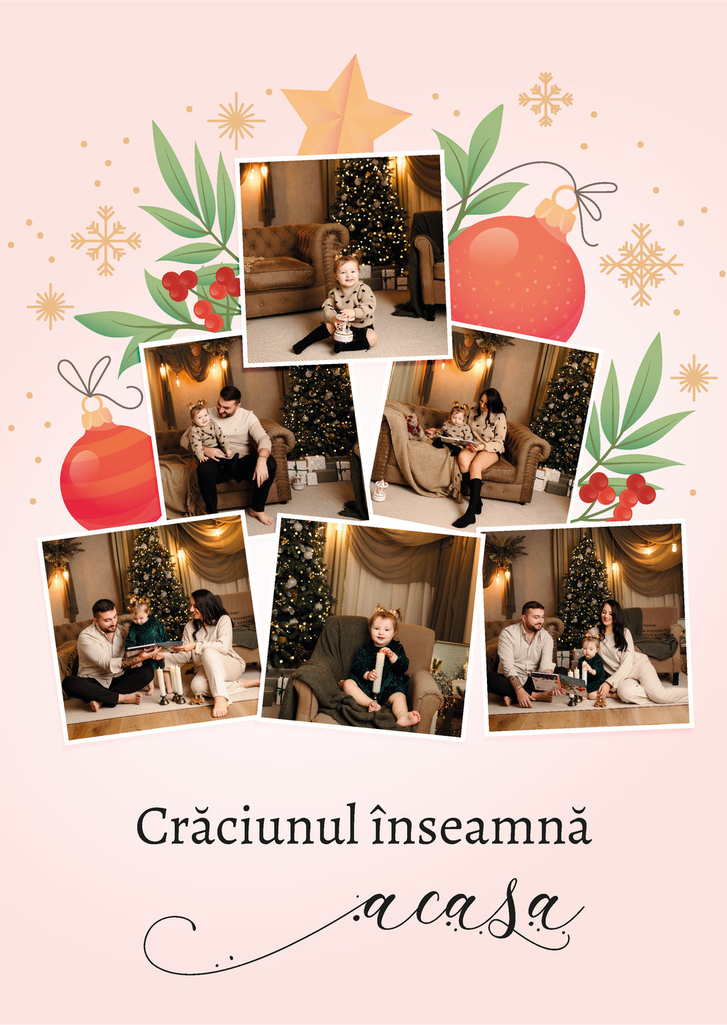 Tablou foto A3 brad de Craciun 6 poze