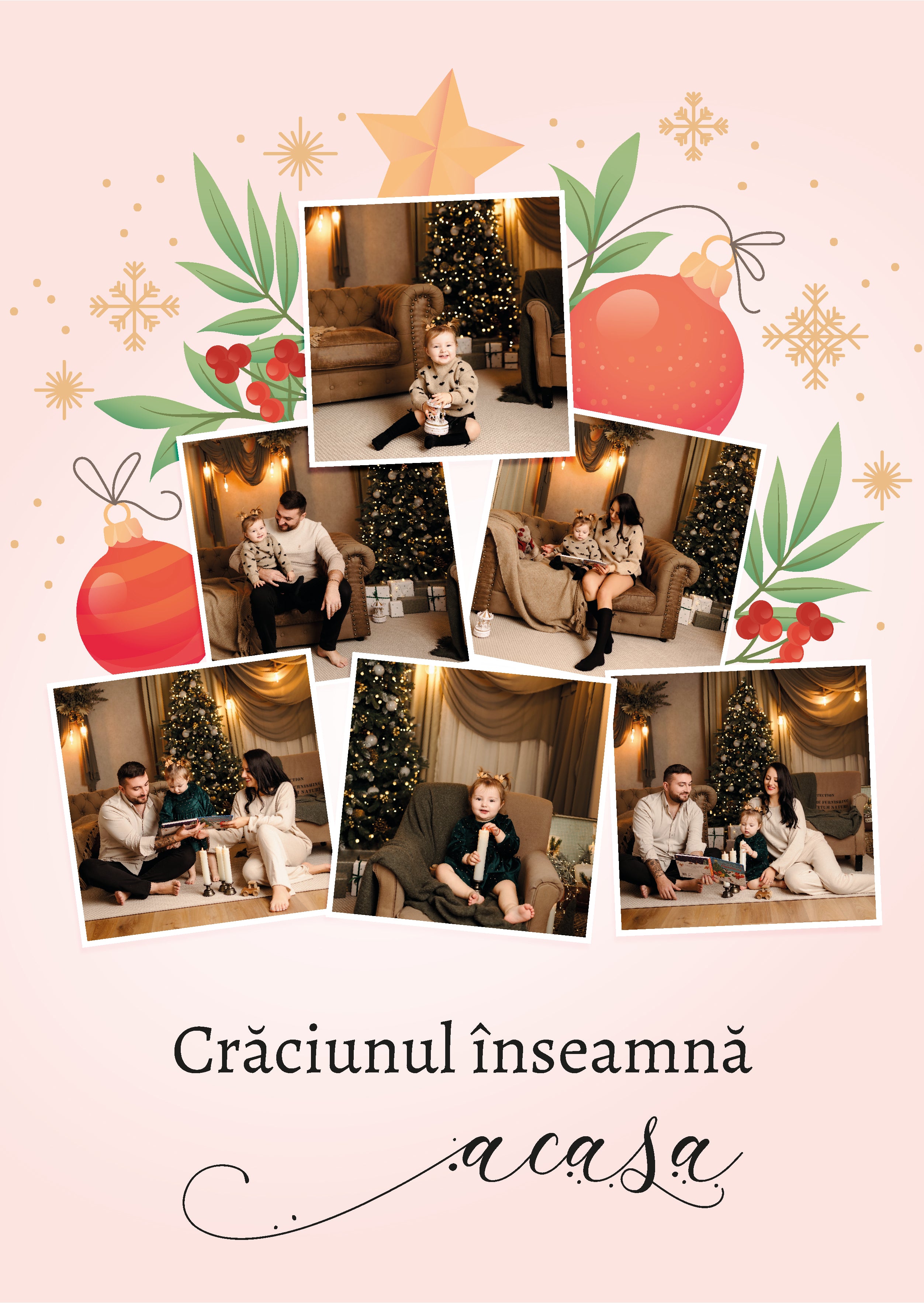 Tablou foto A3 brad de Craciun 6 poze